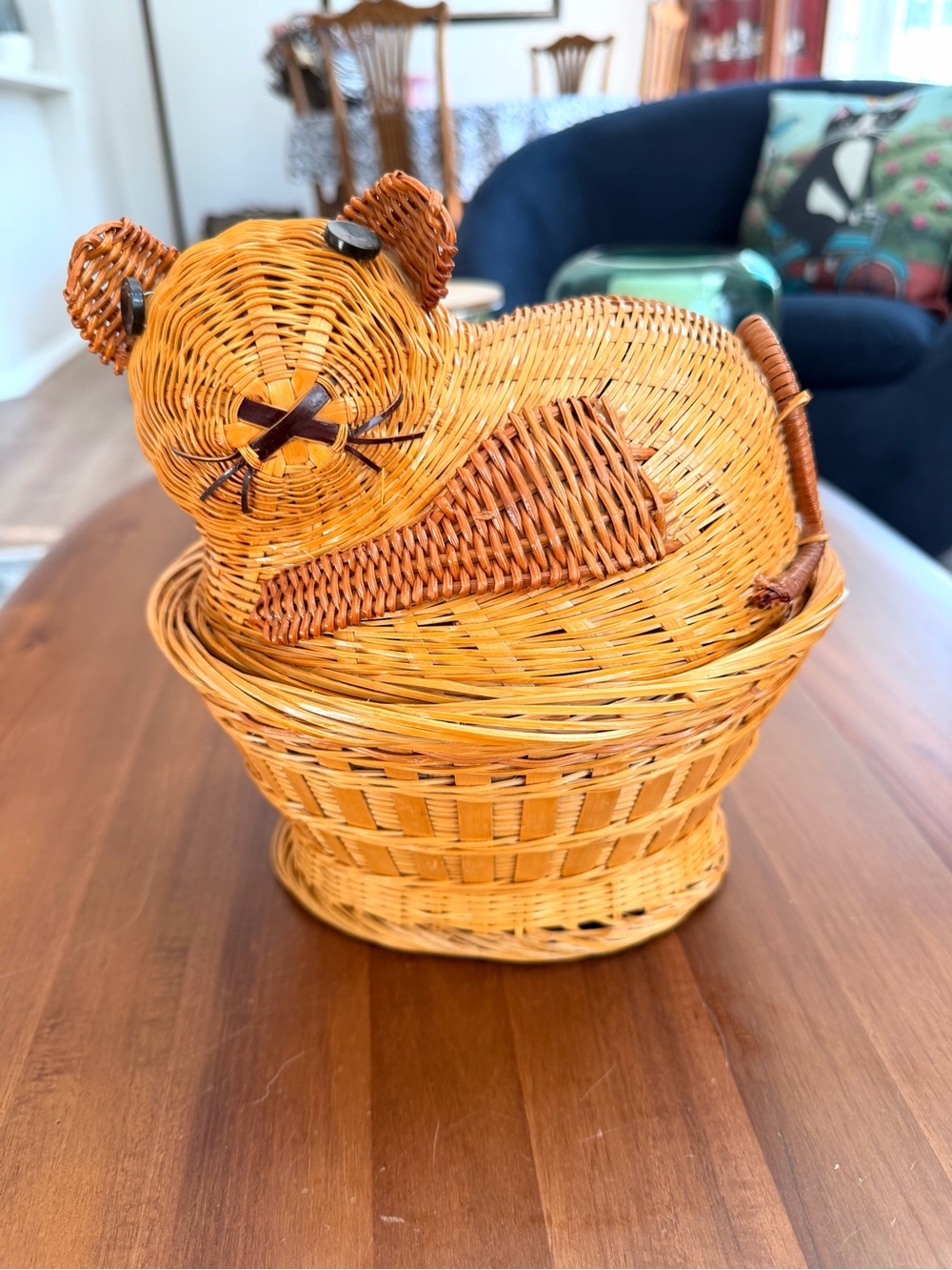 Vintage Wicker Cat Basket with Lid | Boho Rattan Storage Decor